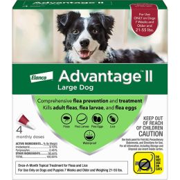 Advantage II Dog Large Red 4-Pack